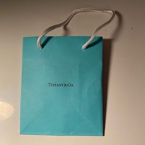 Tiffany and Co  Blue Gift Bag